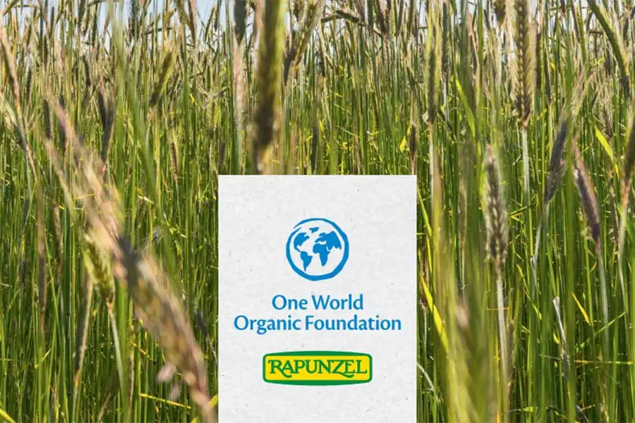 annual report annual report