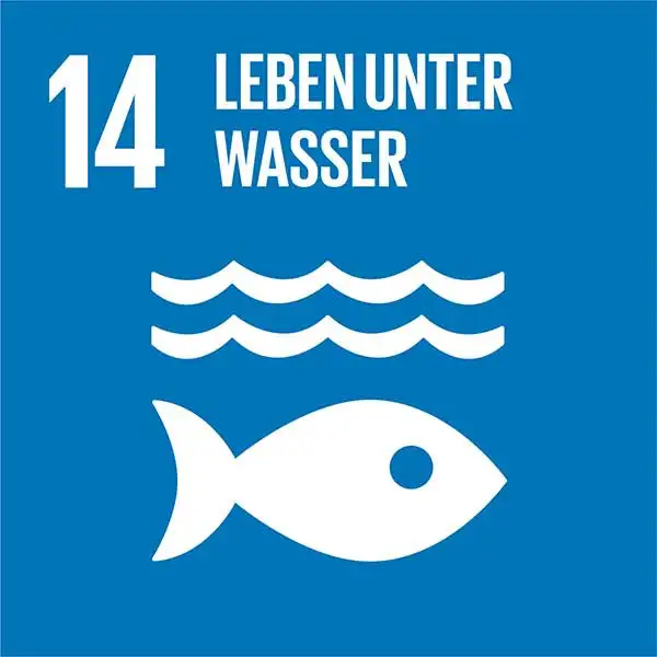 UN-Nachhaltigkeitsziel 14: Leben unter Wasser UN-Nachhaltigkeitsziel 14: Leben unter Wasser