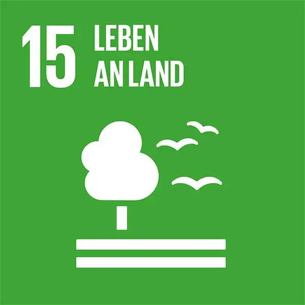 UN-Nachhaltigkeitsziel 15: Leben an Land UN-Nachhaltigkeitsziel 15: Leben an Land
